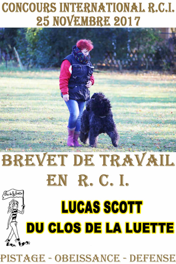 LUCAS BREVETE DE CHIEN DE DEFENSE en RCI 2017